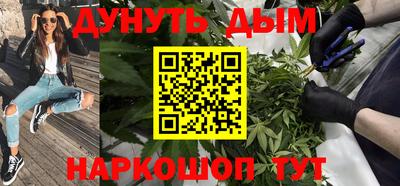 шишки Будённовск