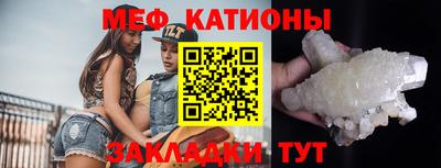 шишки Будённовск