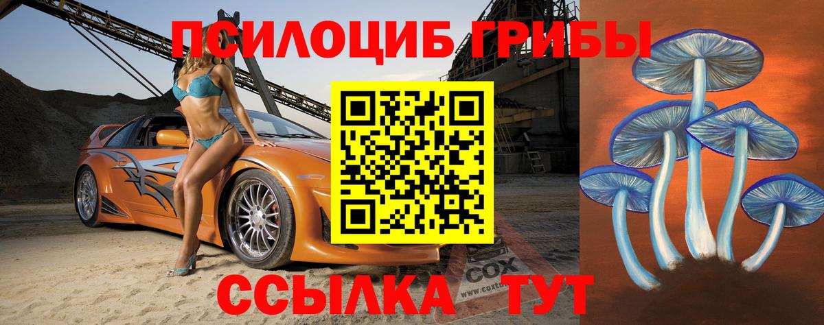 Галлюциногенные грибы GOLDEN TEACHER  Вход с VPN  Оренбург 