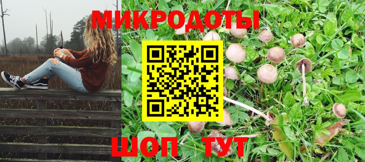 Псилоцибиновые грибы Magic Shrooms Оренбург